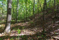 property photo for Bear Brook Tract 2, 8.59 acres for sale in Perry County, Tennessee
