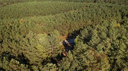 property photo for Bear Brook Tract 2, 8.59 acres for sale in Perry County, Tennessee