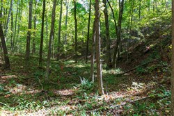 property photo for Bear Brook Tract 2, 8.59 acres for sale in Perry County, Tennessee