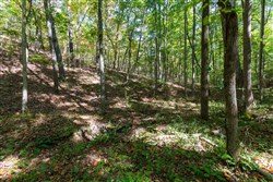 property photo for Bear Brook Tract 2, 8.59 acres for sale in Perry County, Tennessee