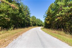 Bear Brook Tract 3