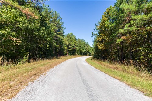 Bear Brook Tract 3