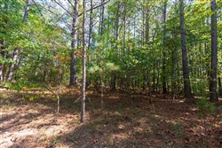 Bear Brook Tract 3