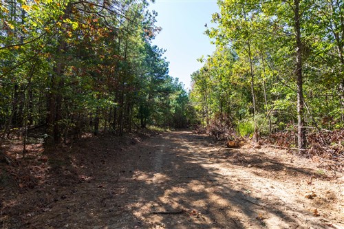Bear Brook Tract 3