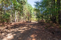 Bear Brook Tract 3