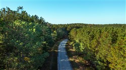 Bear Brook Tract 3