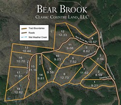 Bear Brook Tract 3