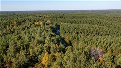 property photo for Bear Brook Tract 4, 10.57 acres for sale in Perry County, Tennessee