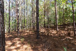 property photo for Bear Brook Tract 4, 10.57 acres for sale in Perry County, Tennessee