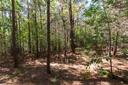 property photo for Bear Brook Tract 4, 10.57 acres for sale in Perry County, Tennessee