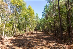 property photo for Bear Brook Tract 5, 8.62 acres for sale in Perry County, Tennessee