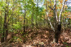 property photo for Bear Brook Tract 5, 8.62 acres for sale in Perry County, Tennessee