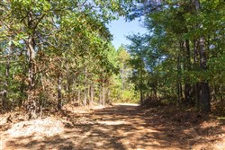property photo for Bear Brook Tract 5, 8.62 acres for sale in Perry County, Tennessee