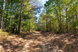 property photo for Bear Brook Tract 5, 8.62 acres for sale in Perry County, Tennessee