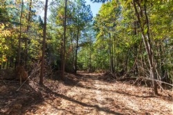 property photo for Bear Brook Tract 6, 7.52 acres for sale in Perry County, Tennessee
