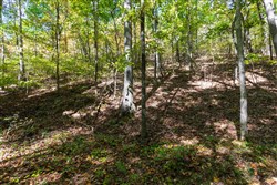 property photo for Bear Brook Tract 6, 7.52 acres for sale in Perry County, Tennessee