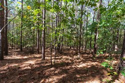 property photo for Bear Brook Tract 6, 7.52 acres for sale in Perry County, Tennessee
