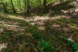 property photo for Bear Brook Tract 6, 7.52 acres for sale in Perry County, Tennessee