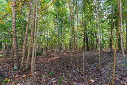 property photo for Bear Brook Tract 6, 7.52 acres for sale in Perry County, Tennessee