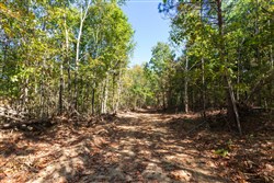 property photo for Bear Brook Tract 6, 7.52 acres for sale in Perry County, Tennessee