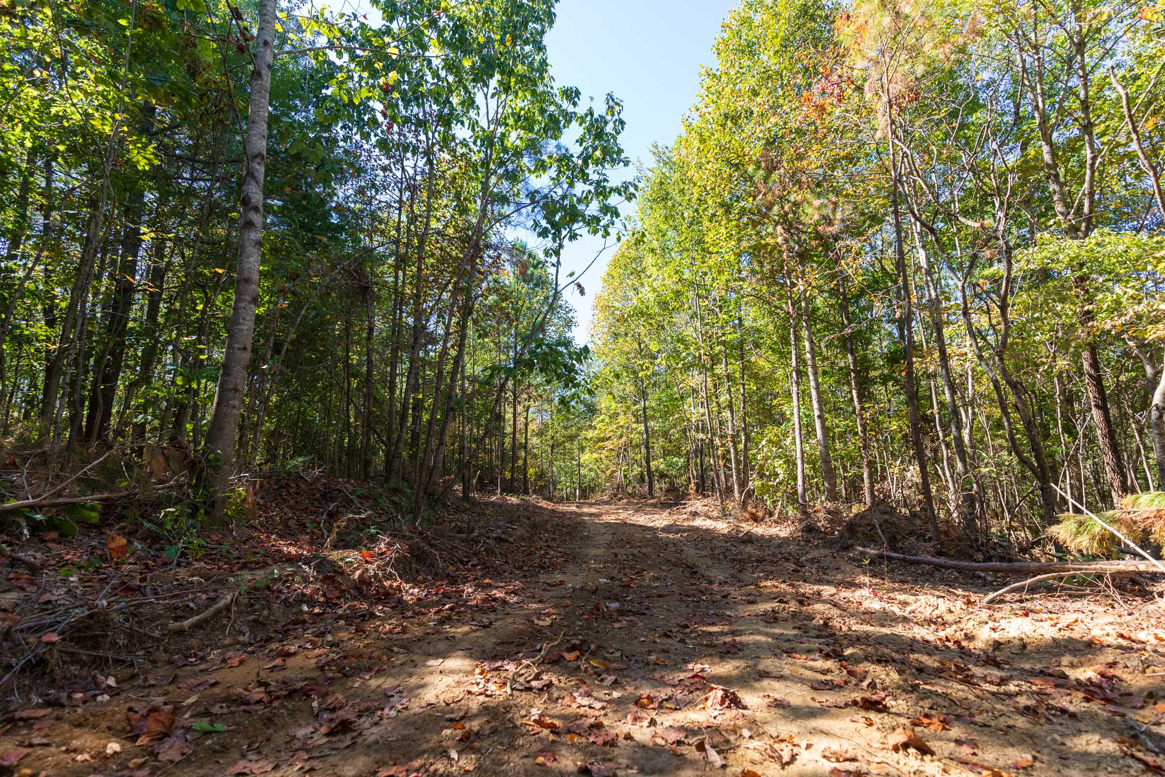 Tract 7 at Bear Brook in Perry County, Tennessee