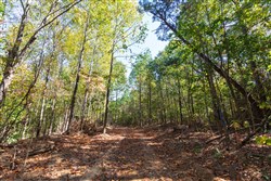 property photo for Bear Brook Tract 7, 11.62 acres for sale in Perry County, Tennessee