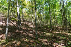 property photo for Bear Brook Tract 7, 11.62 acres for sale in Perry County, Tennessee