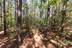 property photo for Bear Brook Tract 7, 11.62 acres for sale in Perry County, Tennessee