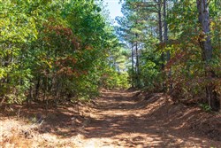 Bear Brook Tract 8