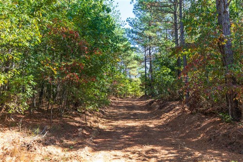Bear Brook Tract 8