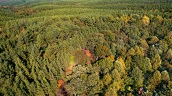 Bear Brook Tract 8