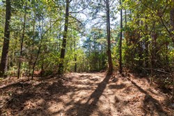 Bear Brook Tract 8