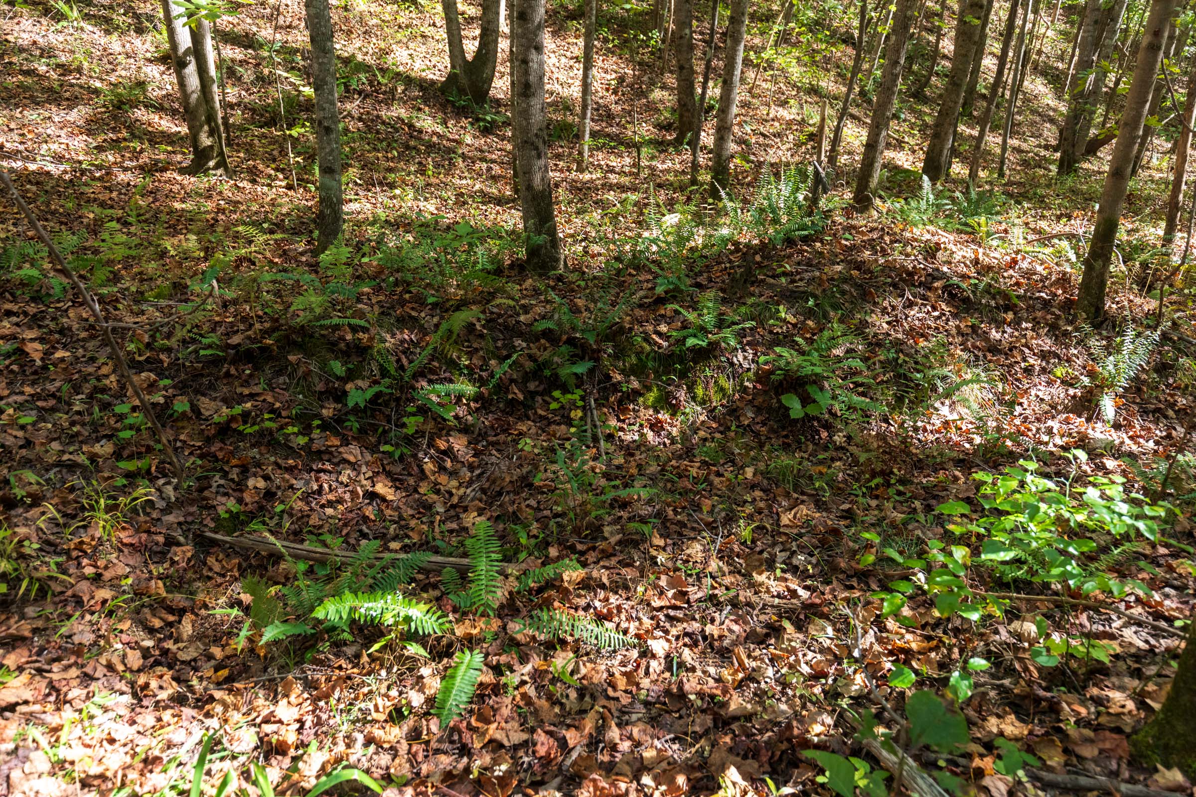 Tract 9 at Bear Brook in Perry County, Tennessee