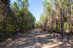 property photo for Bear Brook Tract 9, 9.58 acres for sale in Perry County, Tennessee