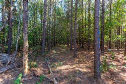 property photo for Bear Brook Tract 9, 9.58 acres for sale in Perry County, Tennessee