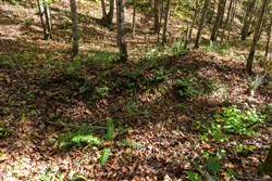 property photo for Bear Brook Tract 9, 9.58 acres for sale in Perry County, Tennessee