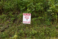 Big White Oak Tract 10