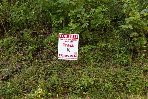Big White Oak Tract 10