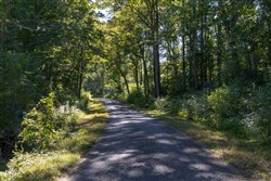 Big White Oak Tract 10