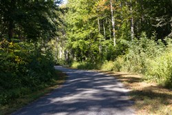 Big White Oak Tract 10