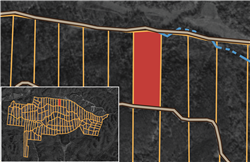 Big White Oak Tract 10