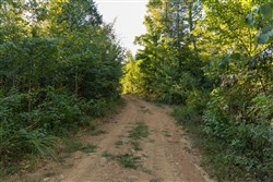 Big White Oak Tract 100