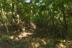 Big White Oak Tract 101