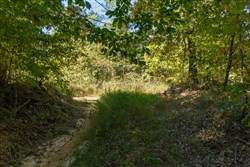 Big White Oak Tract 102