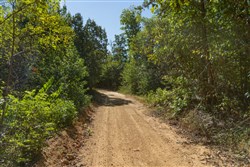Big White Oak Tract 102