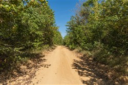 Big White Oak Tract 102