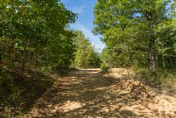 Big White Oak Tract 104