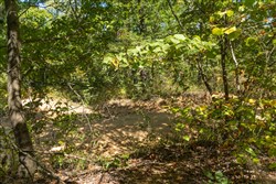Big White Oak Tract 104