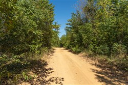 Big White Oak Tract 106