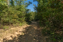 Big White Oak Tract 107